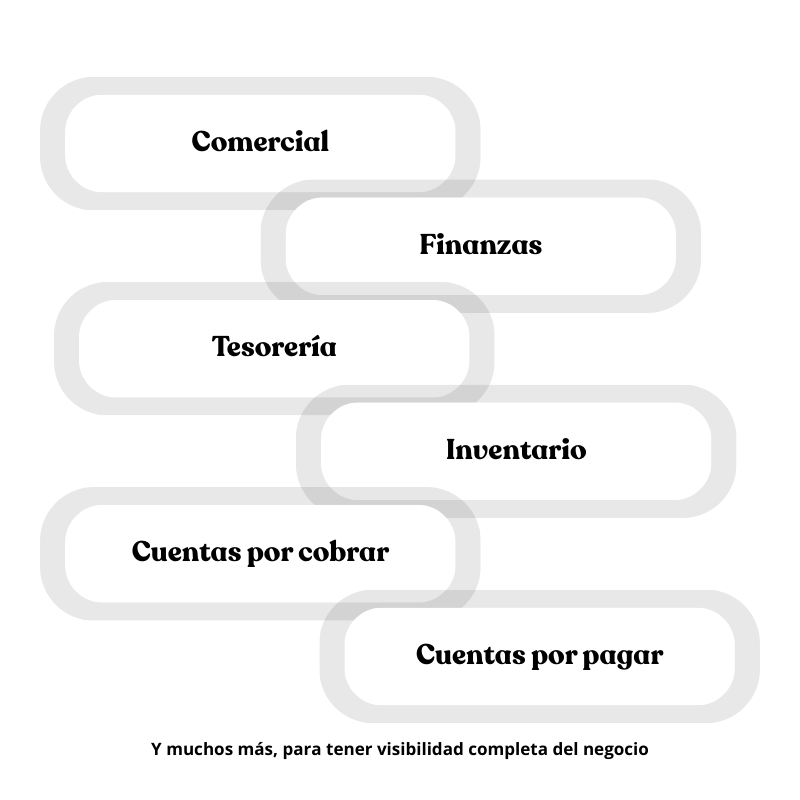 Visibilidad total del negocio, en tiempo real